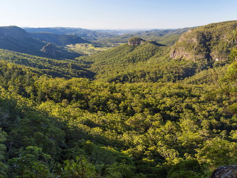 Gold Coast Hinterland Great Walk - Accommodation Brunswick Heads 0