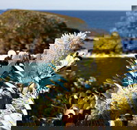 Green Island Walking Track - Accommodation Brunswick Heads