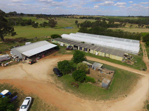 Hill-Lock Orchard - Accommodation Brunswick Heads 0