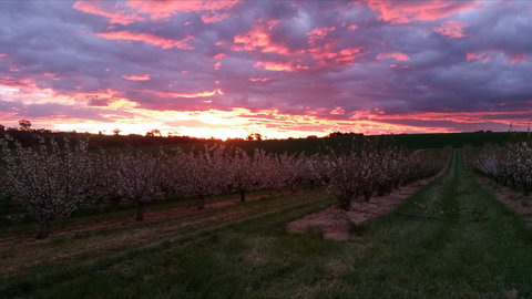 Hill-Lock Orchard - Accommodation Brunswick Heads 2