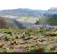 Horseshoe Rim 4WD Adventure Track - Accommodation Brunswick Heads
