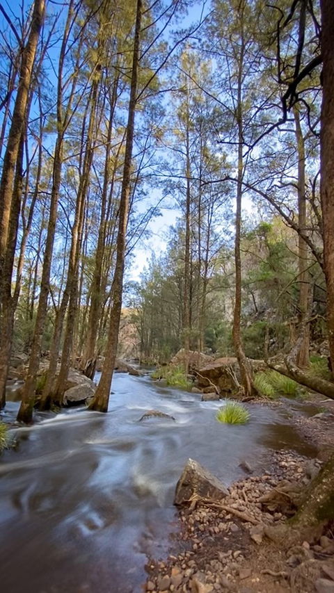 Horton Falls And Walks - Accommodation Brunswick Heads 2