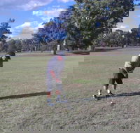 Inverell Golf Club - Accommodation Brunswick Heads