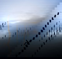 Jounama Creek Walking Track - Accommodation Brunswick Heads