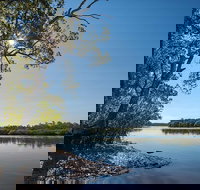 Karuah River National Park and Nature Reserve - Accommodation Brunswick Heads