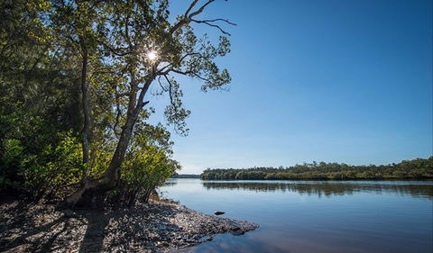 Karuah River National Park And Nature Reserve - Accommodation Brunswick Heads 0