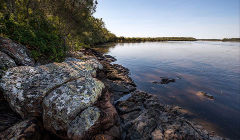Karuah River National Park And Nature Reserve - Accommodation Brunswick Heads 2