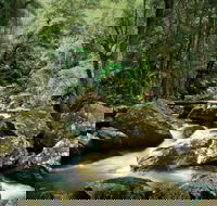 Maleny - Accommodation Brunswick Heads