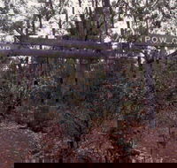 Marrinup Trail Dwellingup - Accommodation Brunswick Heads