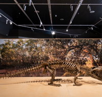 Megafauna Central - Accommodation Brunswick Heads