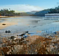 Merrica River Nature Trail - Accommodation Brunswick Heads