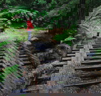 Montezuma Falls - Accommodation Brunswick Heads