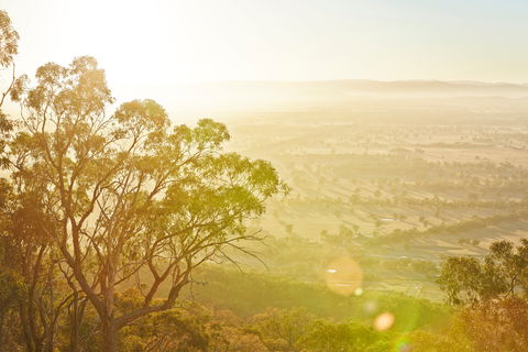 Mt Glenrowan Lookout Walk - Accommodation Brunswick Heads 1