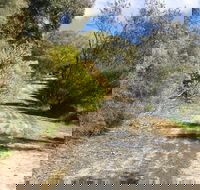 Naracoorte North Nature Park - Accommodation Brunswick Heads