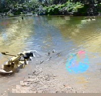 Neurum Creek Campgrounds - Accommodation Brunswick Heads