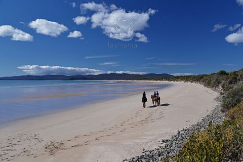 North West - Accommodation Brunswick Heads 0