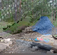 Northbrook Mountain Bush Camp - Accommodation Brunswick Heads