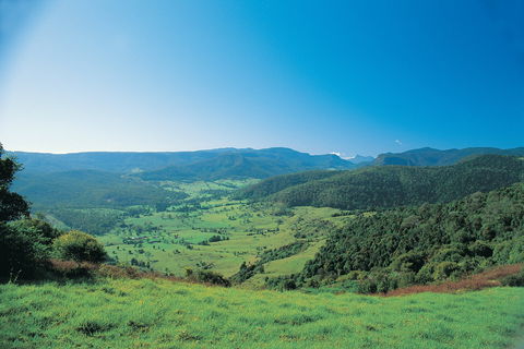 Numinbah Section, Springbrook National Park - Accommodation Brunswick Heads 0