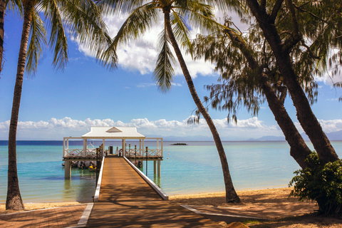 Orpheus Island - Accommodation Brunswick Heads 1