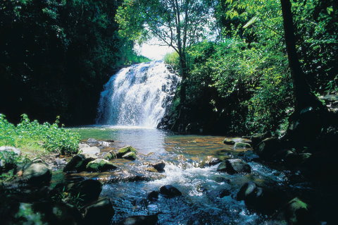 Pepina Falls - Accommodation Brunswick Heads 0