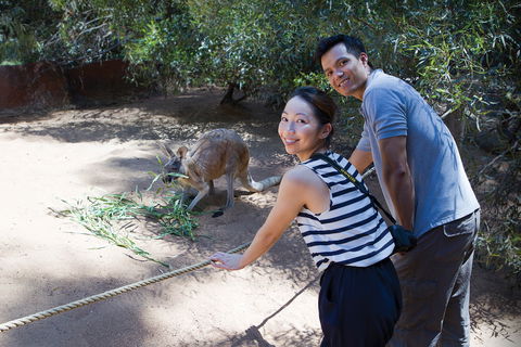 Perth Zoo - Accommodation Brunswick Heads 2