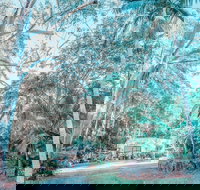 Phillips Gallery - Accommodation Brunswick Heads