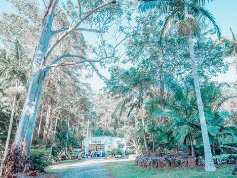 Phillips Gallery - Accommodation Brunswick Heads 0