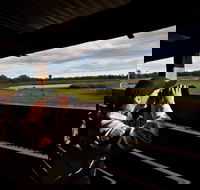 Reed Beds Bird Hide Boardwalk - Accommodation Brunswick Heads