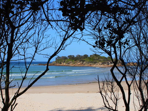 Sandon Beach - Accommodation Brunswick Heads 0