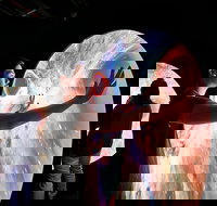 Scienceworks - Accommodation Brunswick Heads