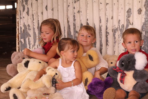 Tambo Teddies - Accommodation Brunswick Heads 0
