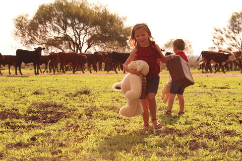 Tambo Teddies - Accommodation Brunswick Heads 1