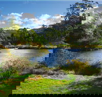 Tasmanian Arboretum Inc. - The - Accommodation Brunswick Heads