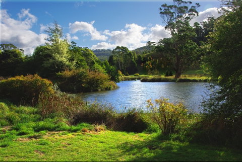 Tasmanian Arboretum Inc. - The - Accommodation Brunswick Heads 0