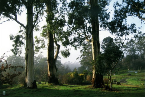 Tasmanian Arboretum Inc. - The - Accommodation Brunswick Heads 1