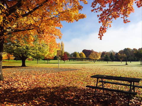 Tenterfield - Accommodation Brunswick Heads 2