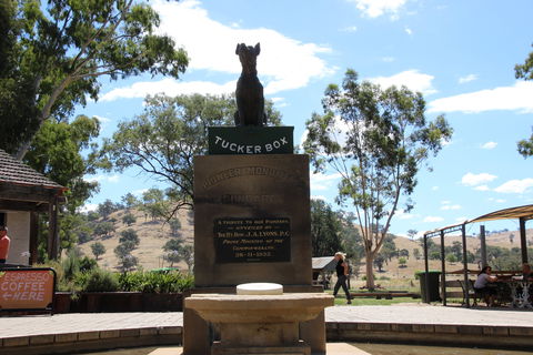 The Dog On The Tucker Box - Accommodation Brunswick Heads 2