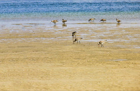 Towra Beach - Accommodation Brunswick Heads 0