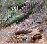 Turner Hill Mountain Bike Trail Murray - Accommodation Brunswick Heads