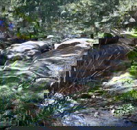 Washpools waterhole - Accommodation Brunswick Heads