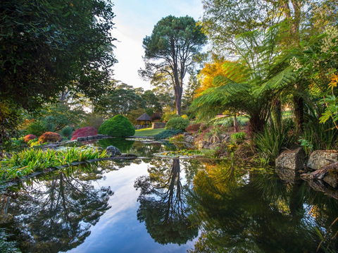 Windyridge Garden Mount Wilson - Accommodation Brunswick Heads 1
