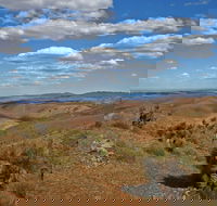 Arden Hills 4WD Track. - Accommodation Brunswick Heads