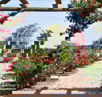 Australian Inland Botanic Gardens - Accommodation Brunswick Heads