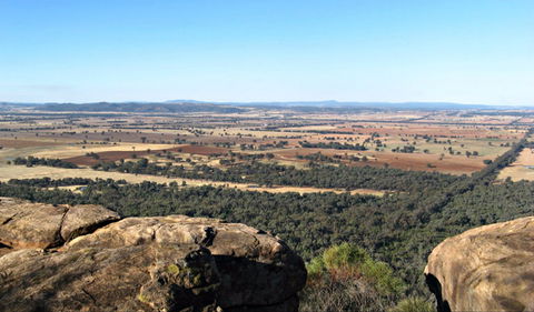 Basin Gully To Eualdrie Lookout Track - Accommodation Brunswick Heads 0