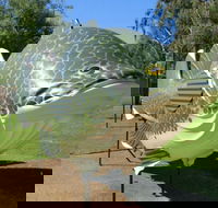 Big Murray Cod - Accommodation Brunswick Heads