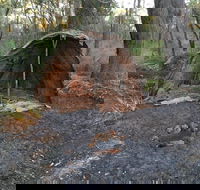 Bindjareb Cultural Park - Accommodation Brunswick Heads