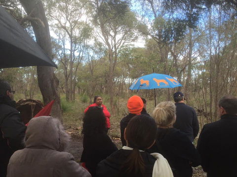 Bindjareb Cultural Park - Accommodation Brunswick Heads 2
