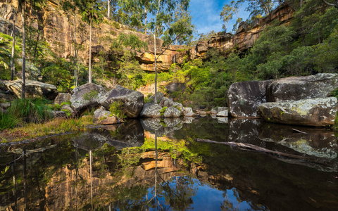 Blackwater - Accommodation Brunswick Heads 1