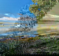 Black Oaks Picnic Area - Accommodation Brunswick Heads