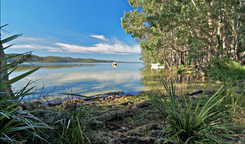 Black Oaks Picnic Area - Accommodation Brunswick Heads 0